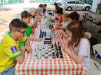 Ny�ri sakkt�borok, 2026._3